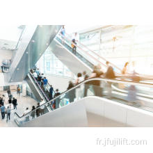 L&#39;escalator de JFUJI